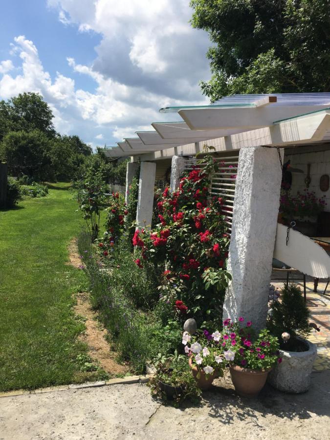Agroturystyka "Pod Bluszczem" Krasnobród Exterior foto