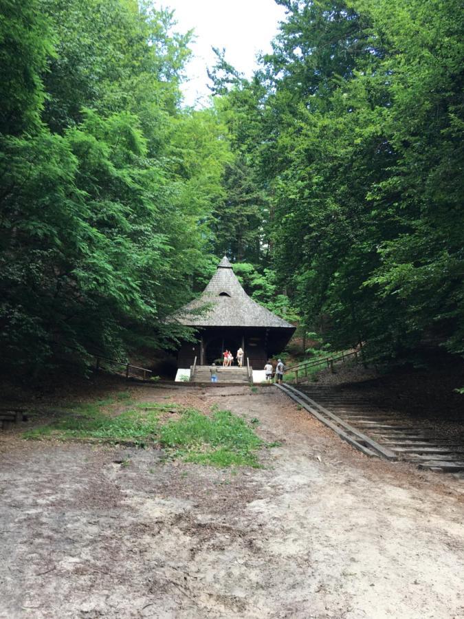 Agroturystyka "Pod Bluszczem" Krasnobród Exterior foto