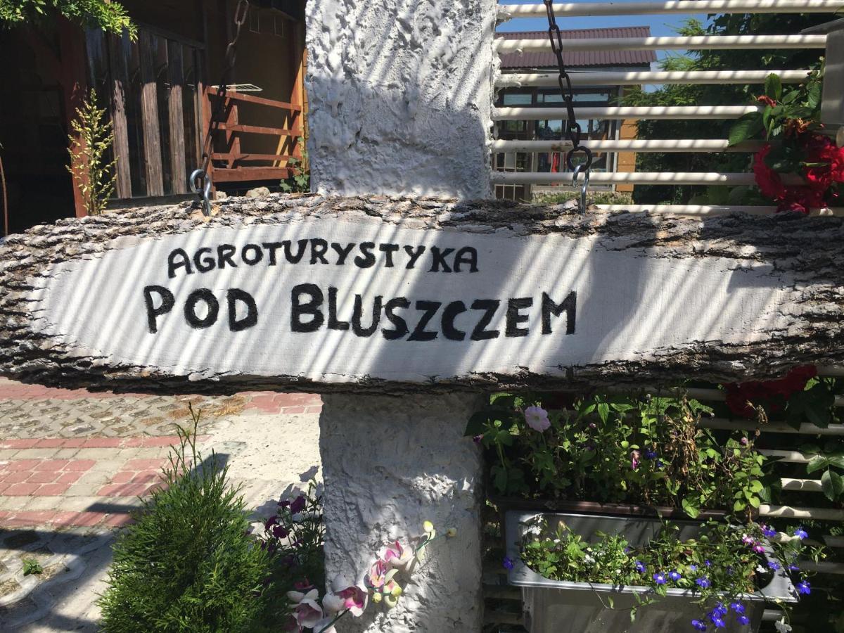 Agroturystyka "Pod Bluszczem" Krasnobród Exterior foto