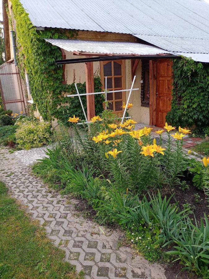 Agroturystyka "Pod Bluszczem" Krasnobród Exterior foto