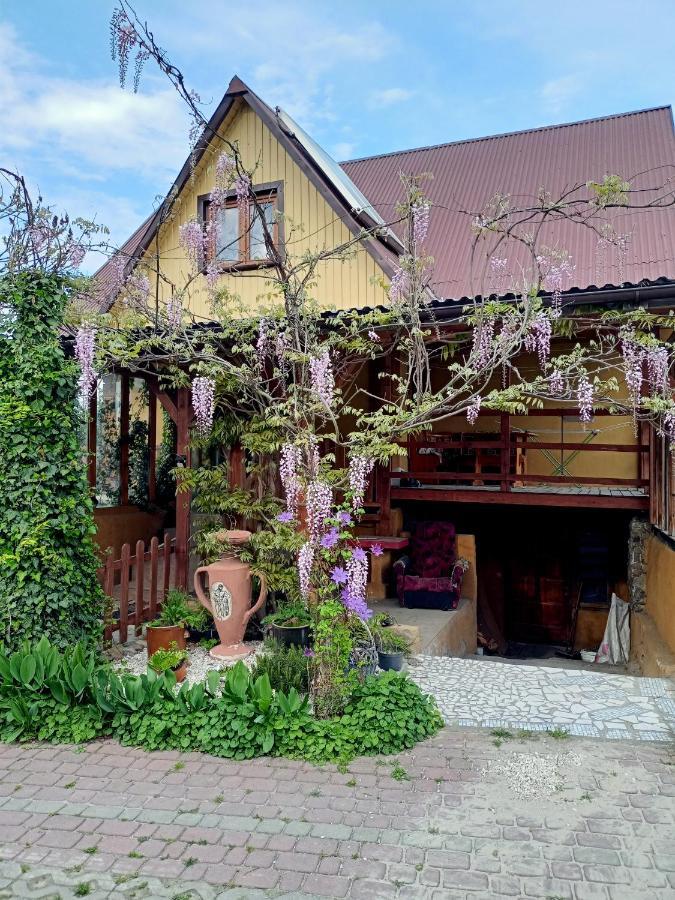 Agroturystyka "Pod Bluszczem" Krasnobród Exterior foto