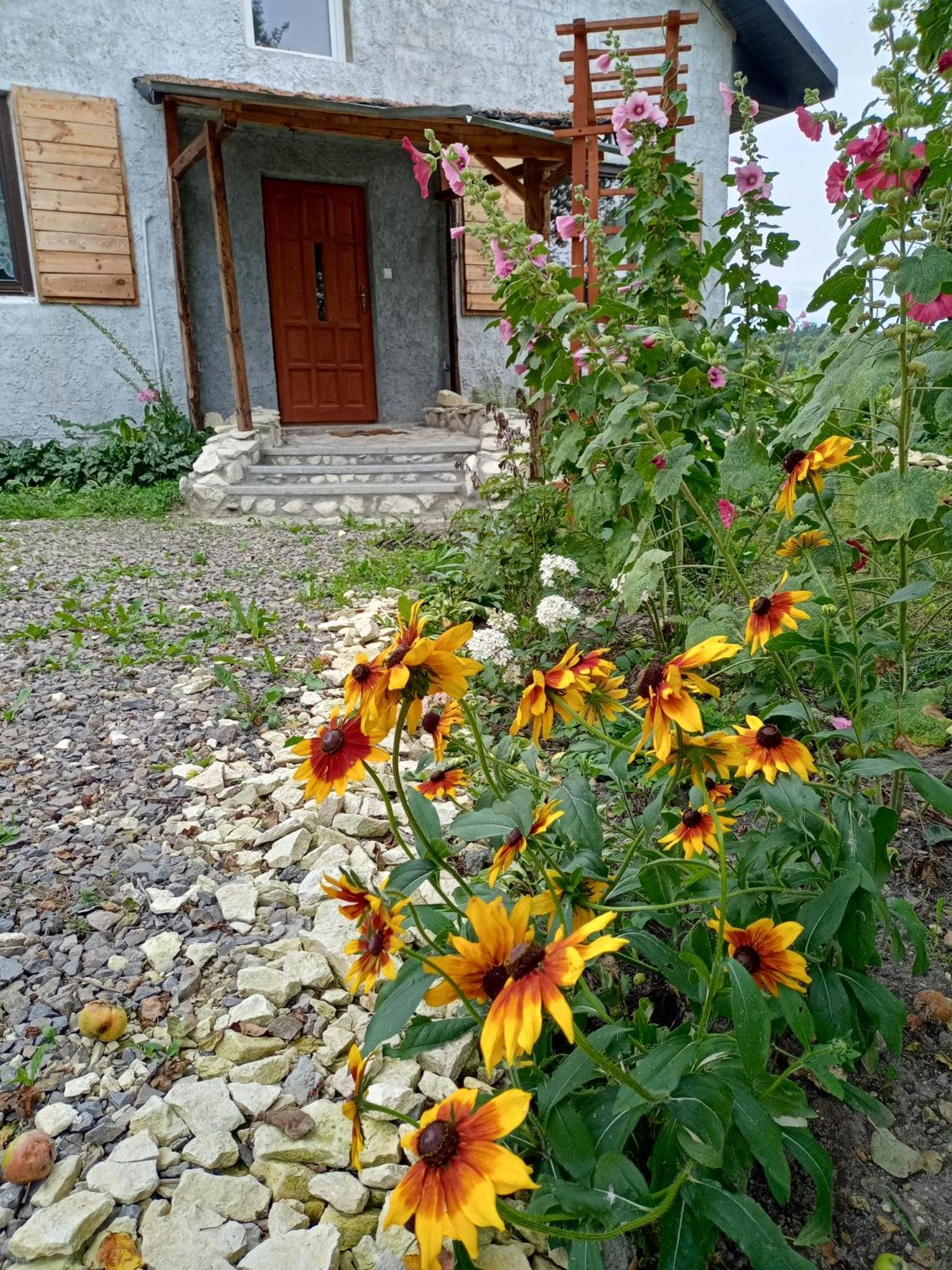 Agroturystyka "Pod Bluszczem" Krasnobród Exterior foto