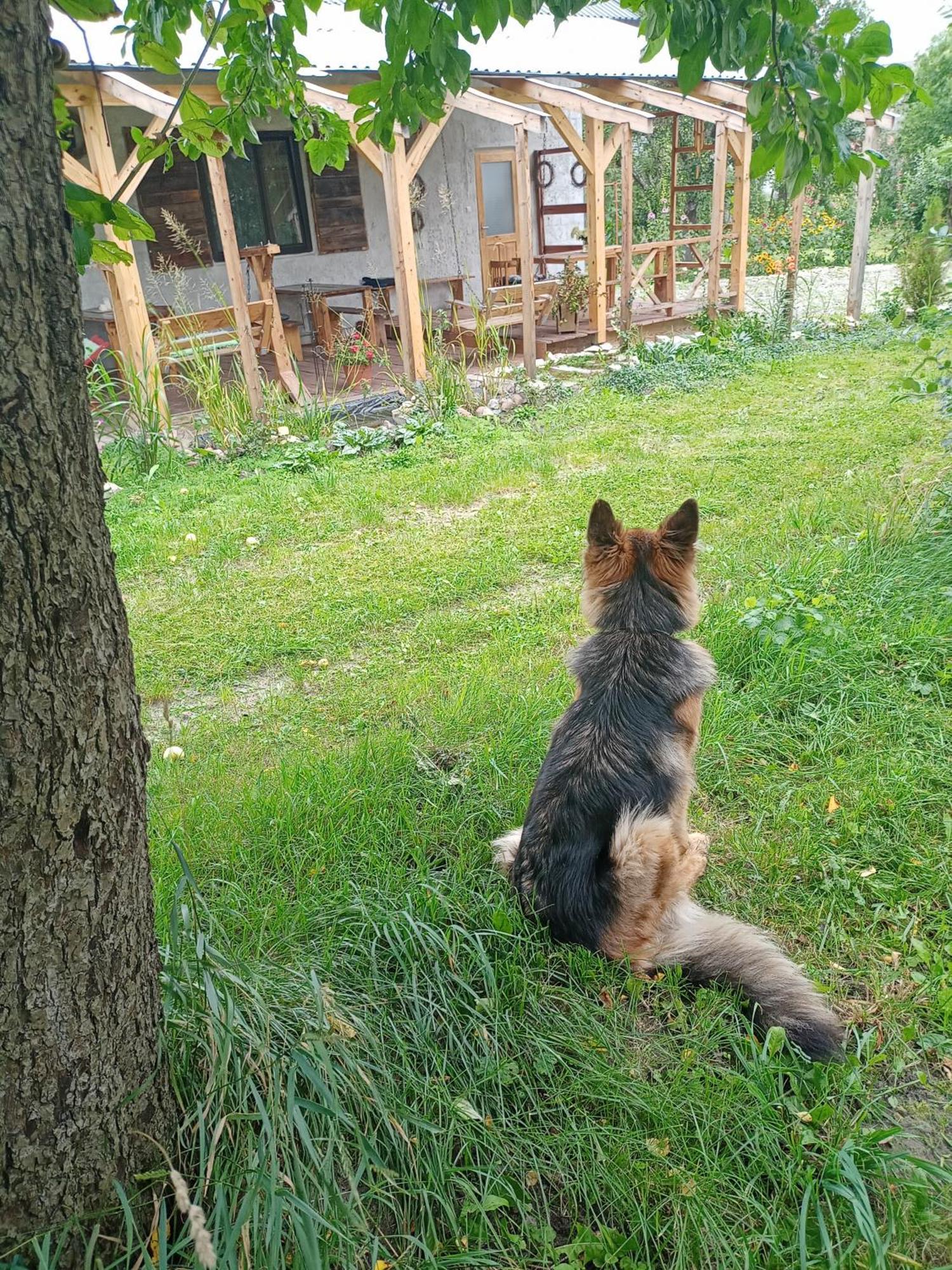 Agroturystyka "Pod Bluszczem" Krasnobród Exterior foto