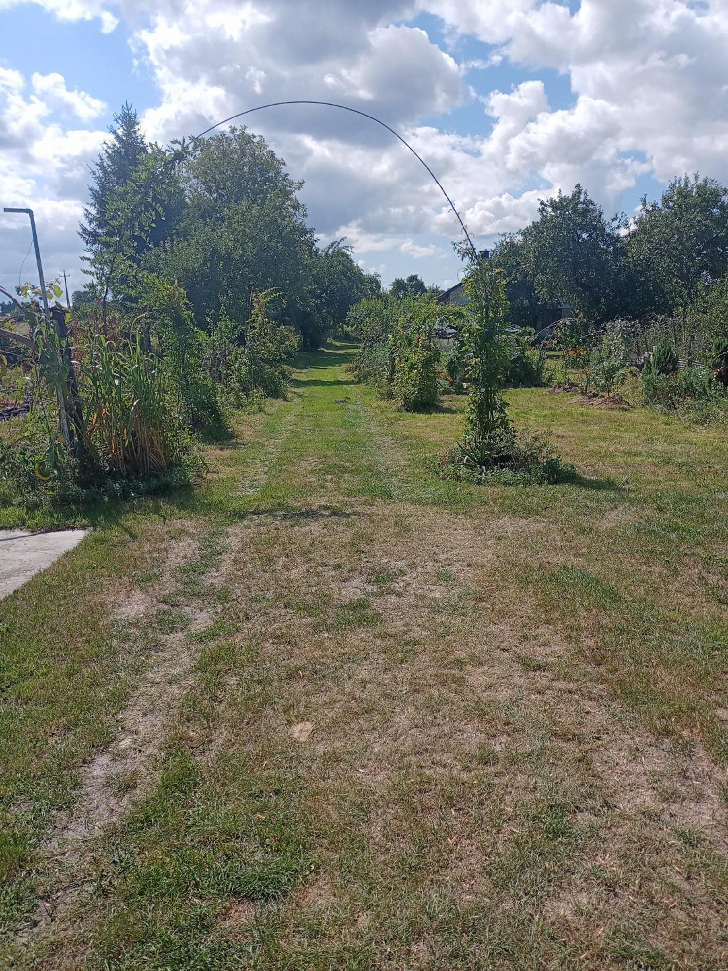 Agroturystyka "Pod Bluszczem" Krasnobród Exterior foto