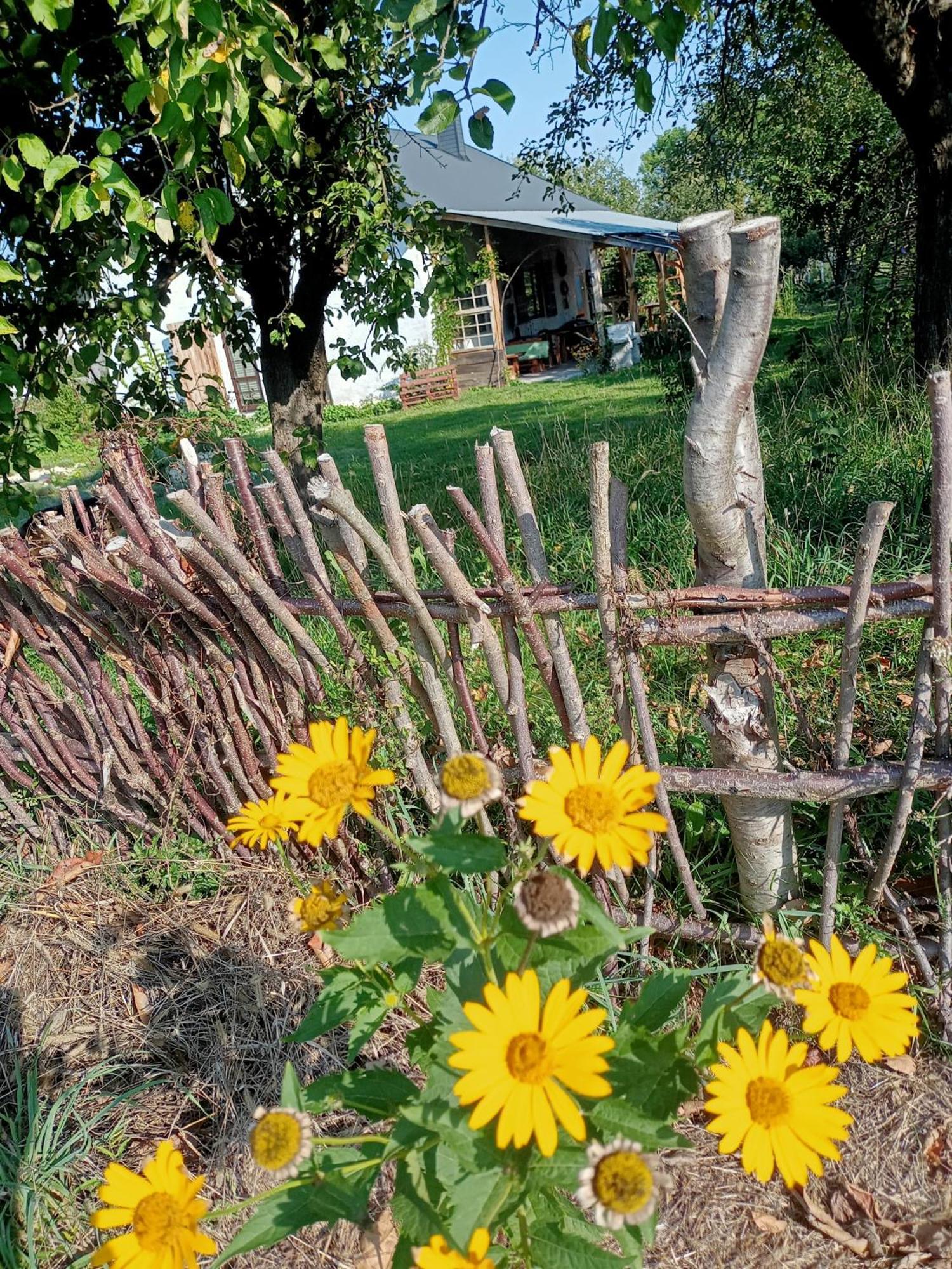 Agroturystyka "Pod Bluszczem" Krasnobród Exterior foto
